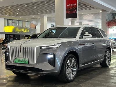 2021年8月 红旗 红旗E-HS9 660km 旗畅版 六座图片