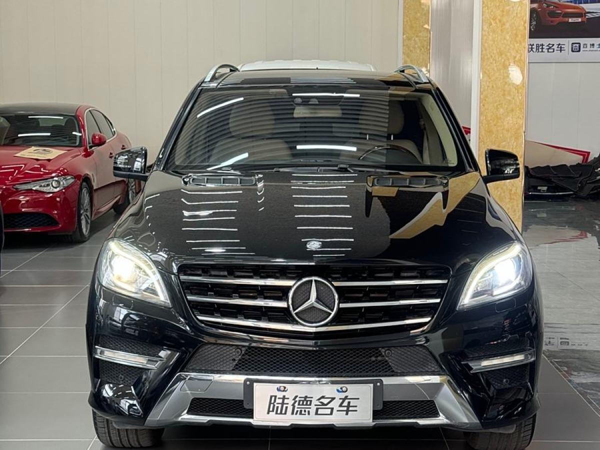 奔馳 奔馳M級(jí)  2012款 ML 350 豪華型圖片