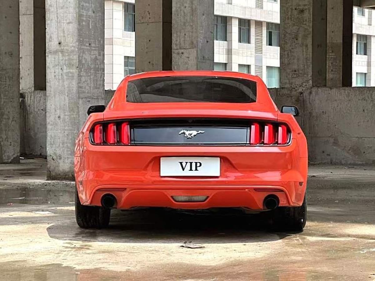 福特 Mustang  2015款 2.3T 性能版圖片