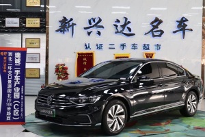 邁騰GTE插電混動(dòng) 大眾 GTE 豪華型