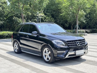 2013年09月 奔驰 奔驰M级(进口) ML 350 动感型图片