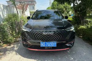 H6 哈弗 國潮版 1.5T 自動(dòng)冠軍版