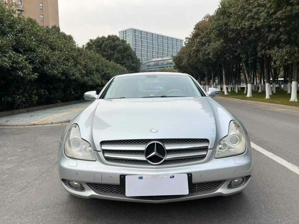 奔馳 奔馳CLS級  2009款 CLS 300圖片