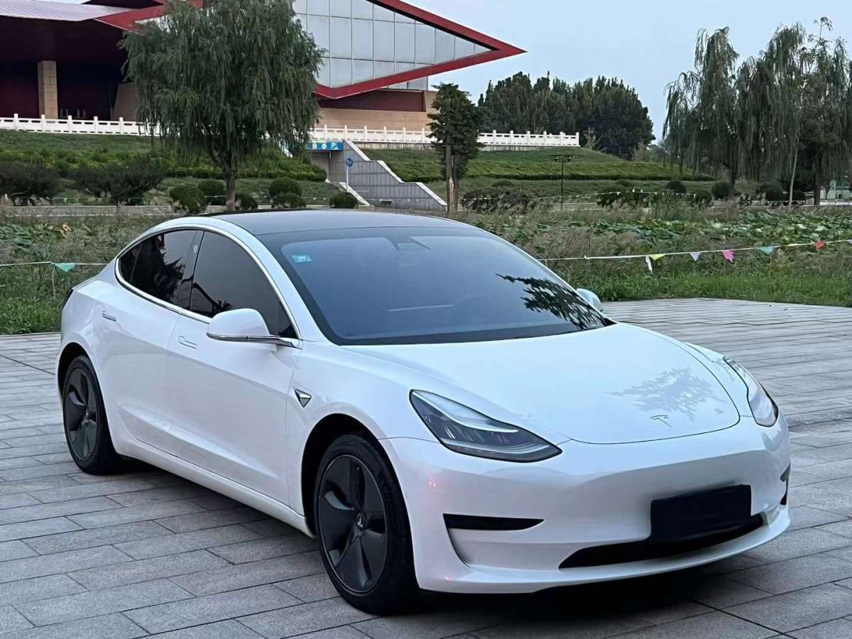 特斯拉 Model Y  2020款 標準續(xù)航后驅(qū)升級版圖片