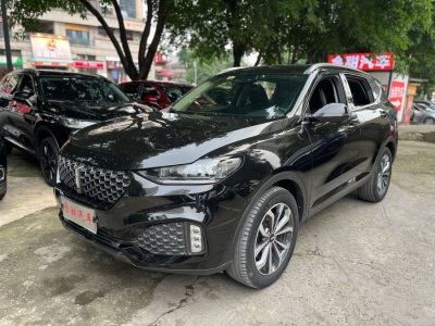 2020年8月 WEY VV6 2.0T 兩驅(qū)智護(hù)+圖片
