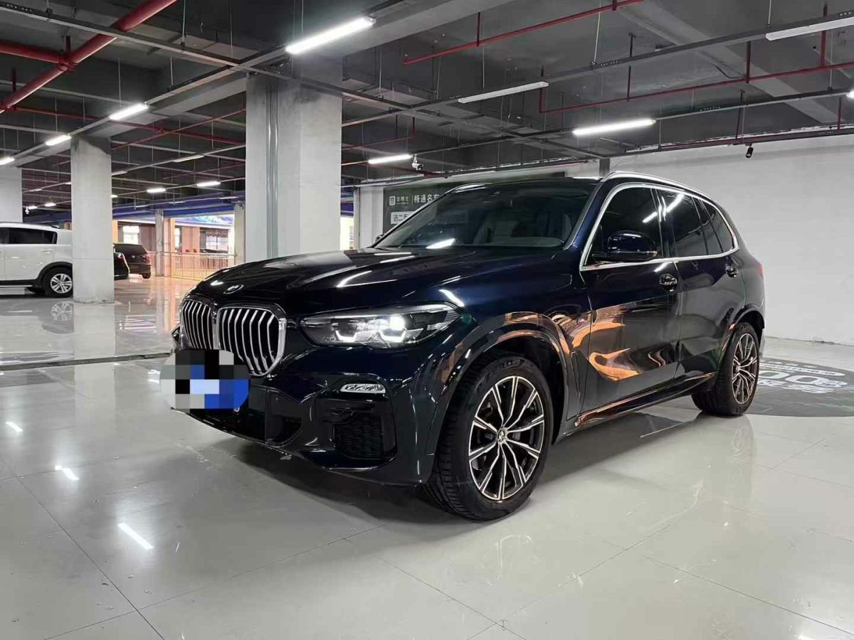 寶馬 寶馬X5  2021款 xDrive30i X設(shè)計(jì)套裝圖片