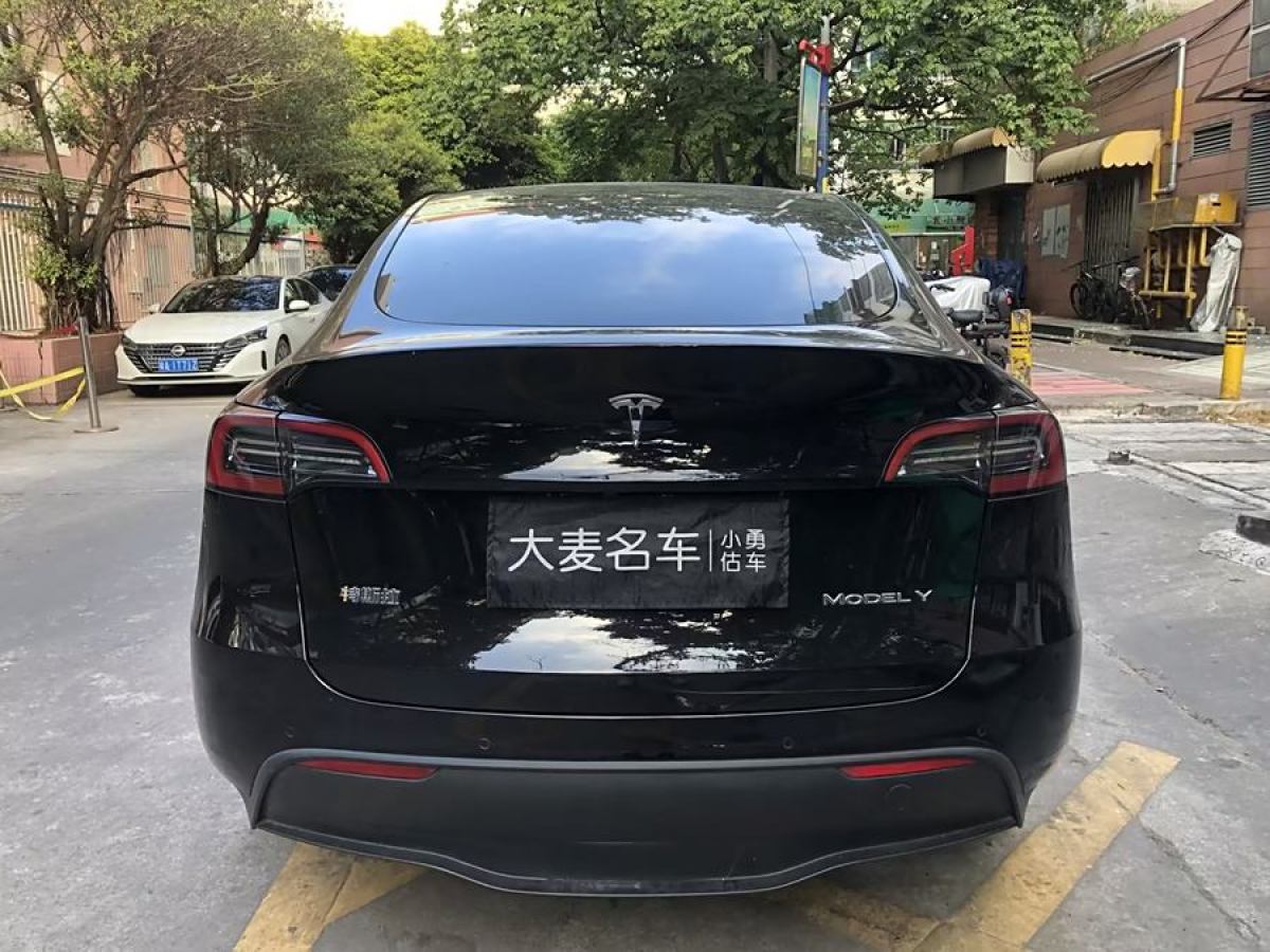 特斯拉 Model Y  2020款 改款 長(zhǎng)續(xù)航后輪驅(qū)動(dòng)版圖片