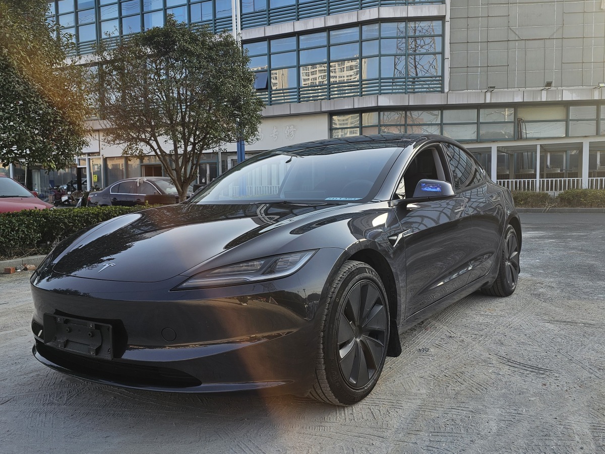 特斯拉 Model 3  2023款 長續(xù)航煥新版 雙電機全輪驅(qū)動圖片