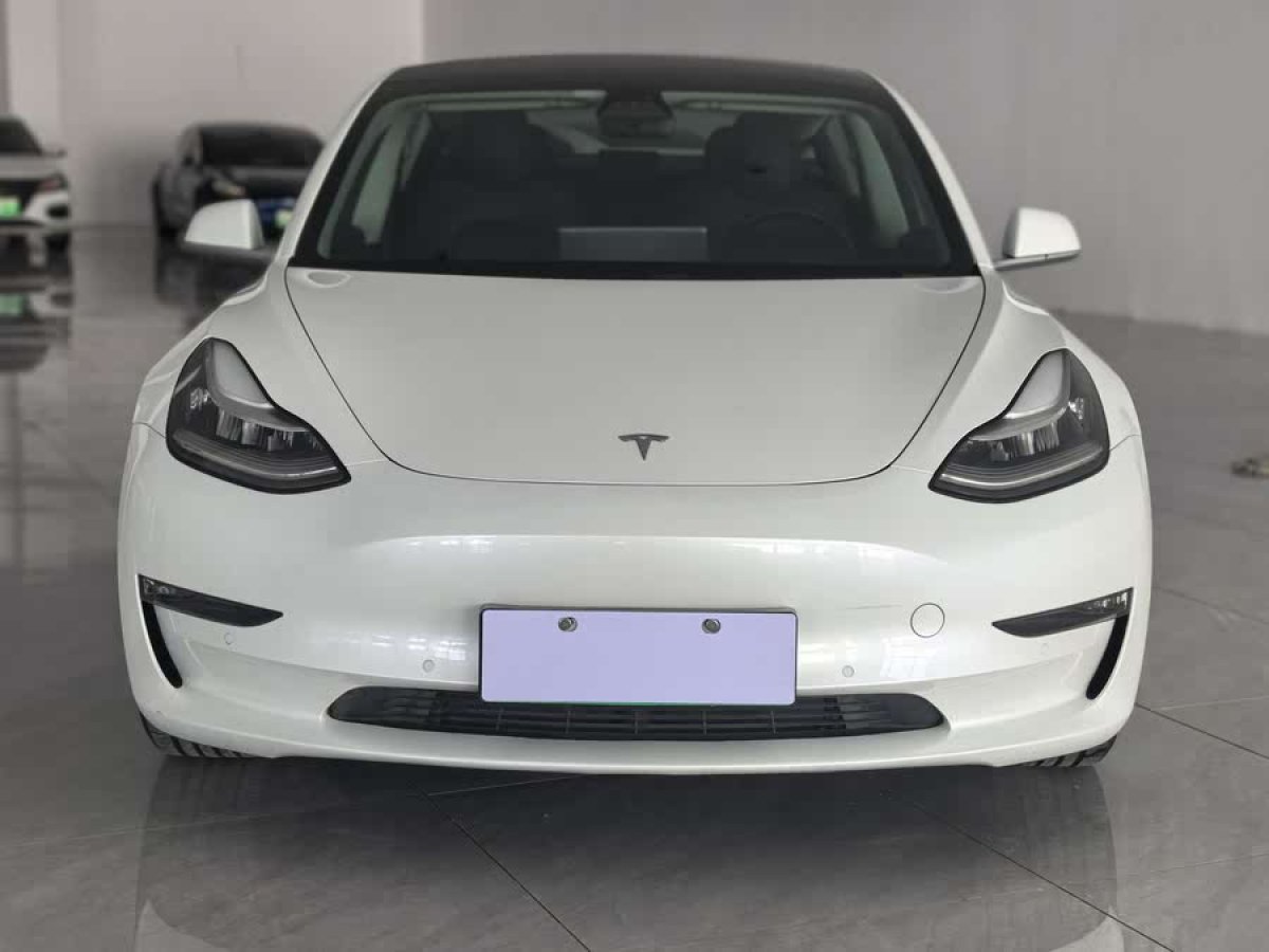 特斯拉 Model 3  2019款 Performance高性能全輪驅動版圖片