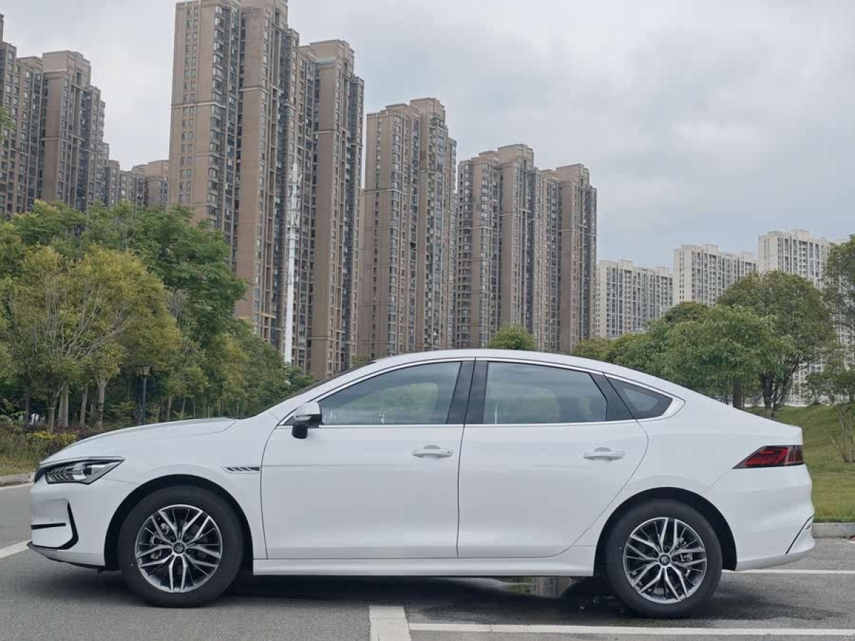 比亞迪 秦PLUS  2024款 榮耀版 EV 510KM超越型圖片