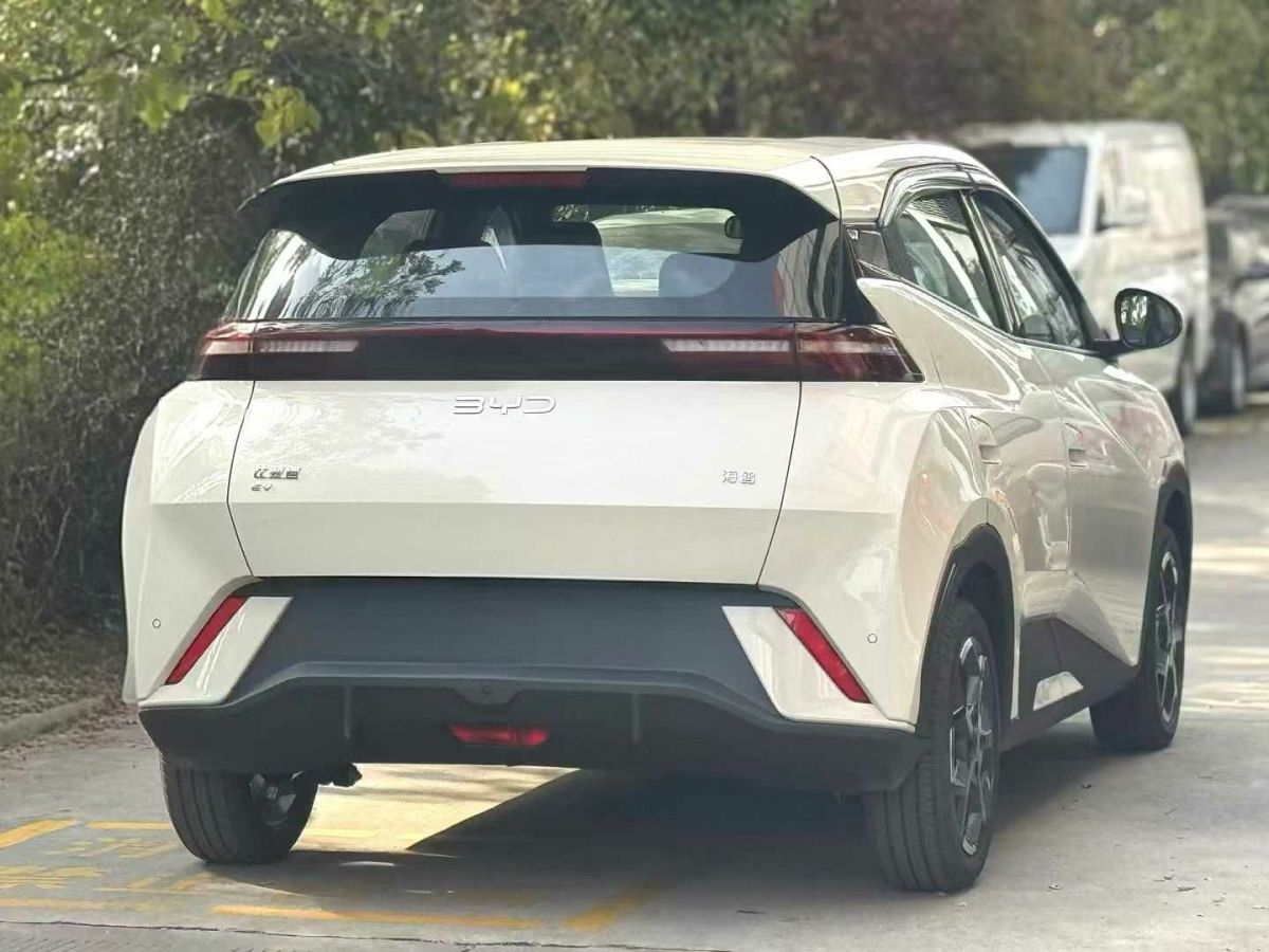 比亞迪 宋L DM-i  2024款 112km 超越型圖片