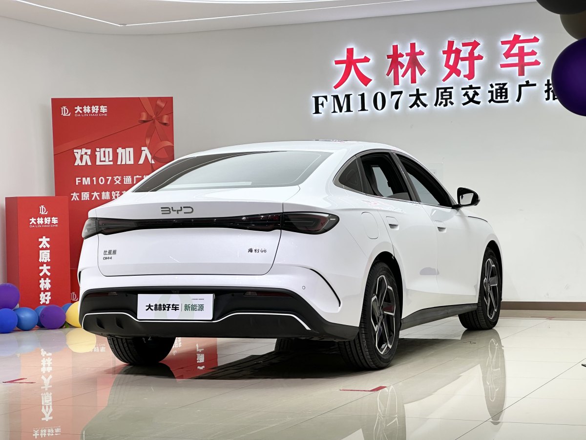 2024年6月比亞迪 海豹06 DM-i  2024款 DM-i 120KM旗艦型