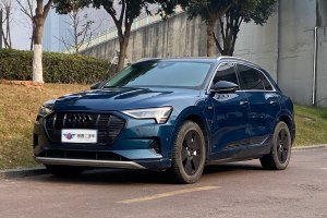 奥迪Q7新能源 奥迪 55 e-tron