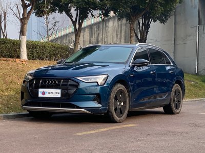 2020年10月 奧迪 奧迪Q7新能源(進口) 55 e-tron圖片