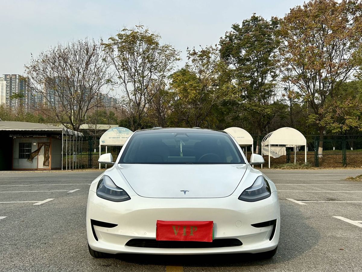 特斯拉 Model 3  2019款 標(biāo)準(zhǔn)續(xù)航后驅(qū)升級(jí)版圖片