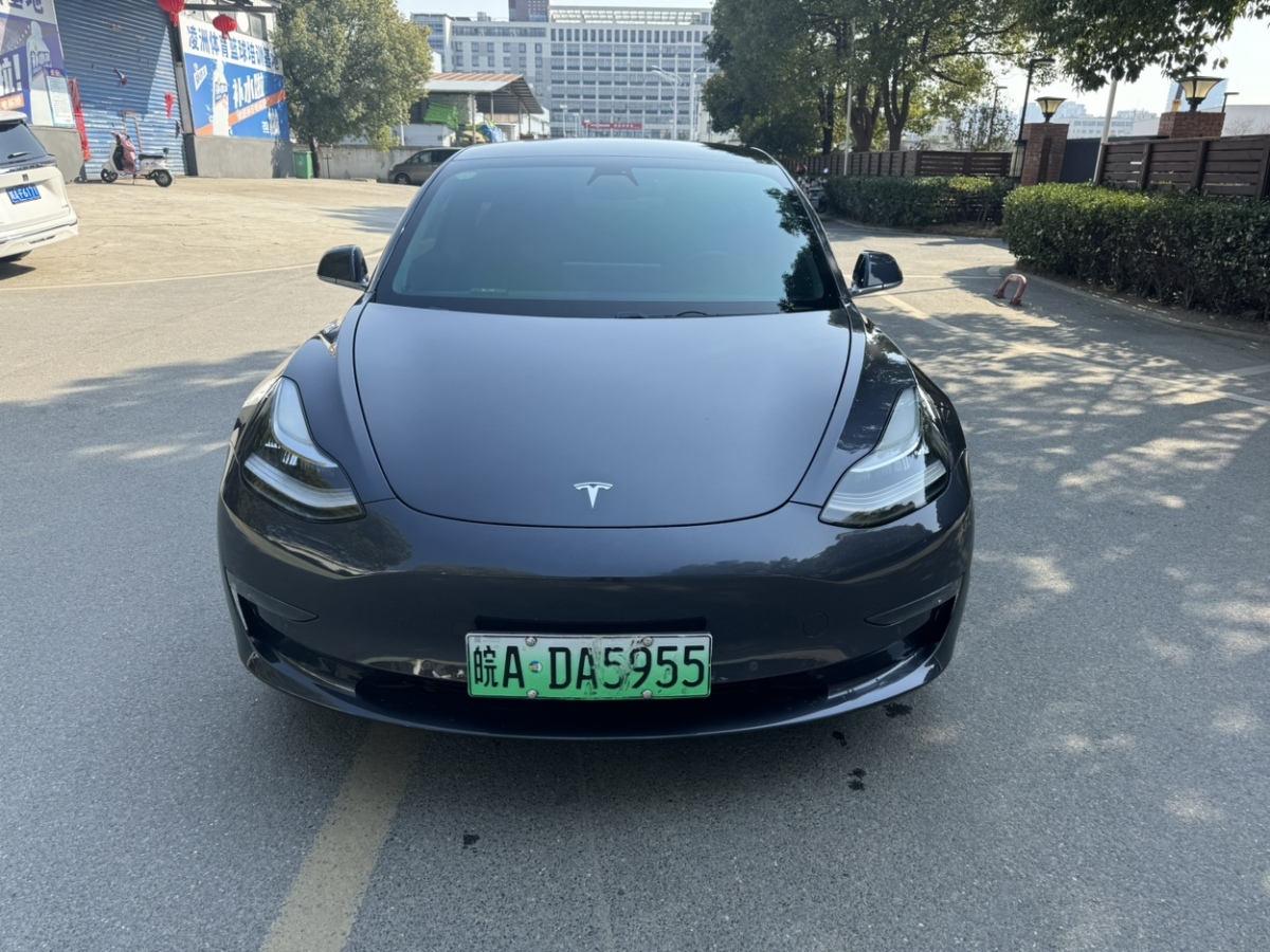 特斯拉 Model 3  2019款 長續(xù)航后驅(qū)版圖片