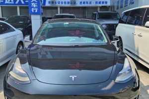 Model 3 特斯拉 标准续航后驱升级版