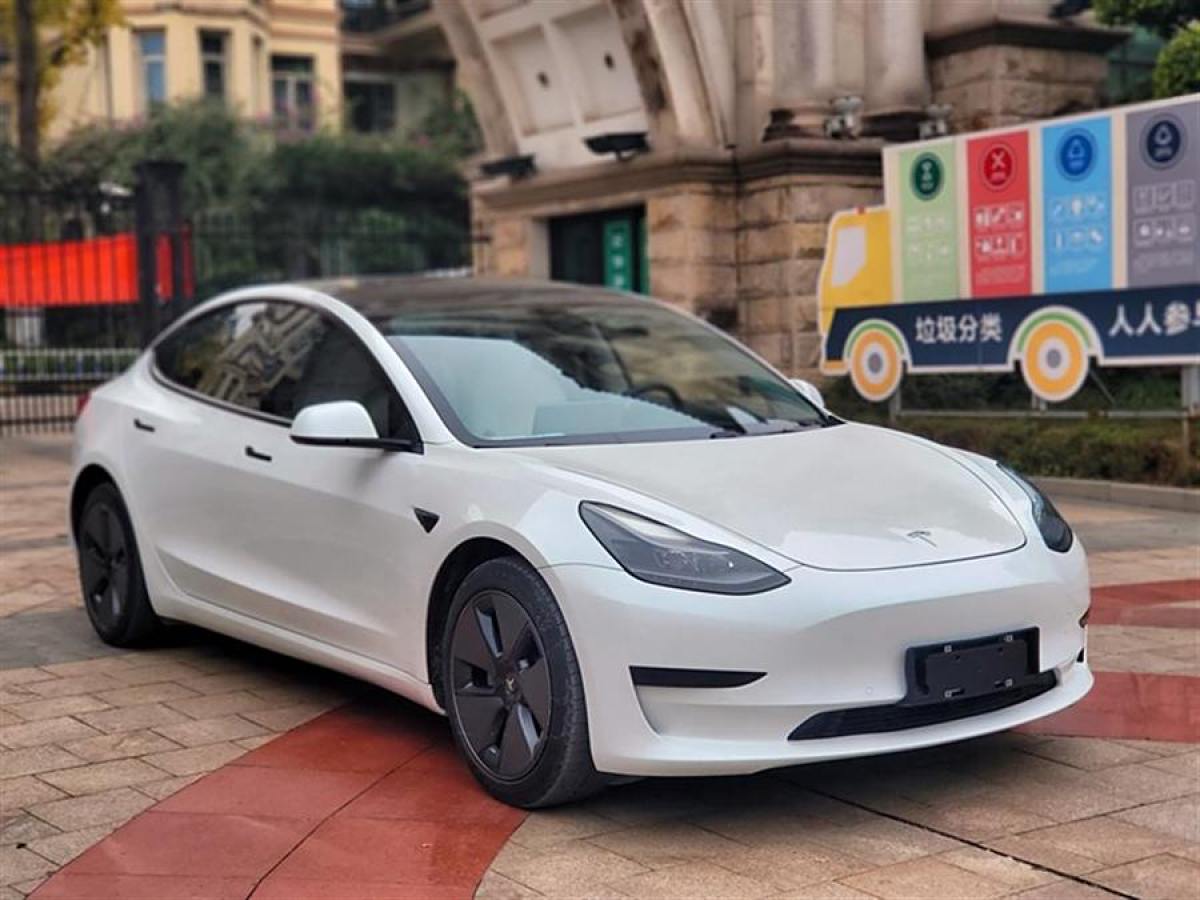 特斯拉 Model 3  2021款 改款 標(biāo)準(zhǔn)續(xù)航后驅(qū)升級(jí)版圖片