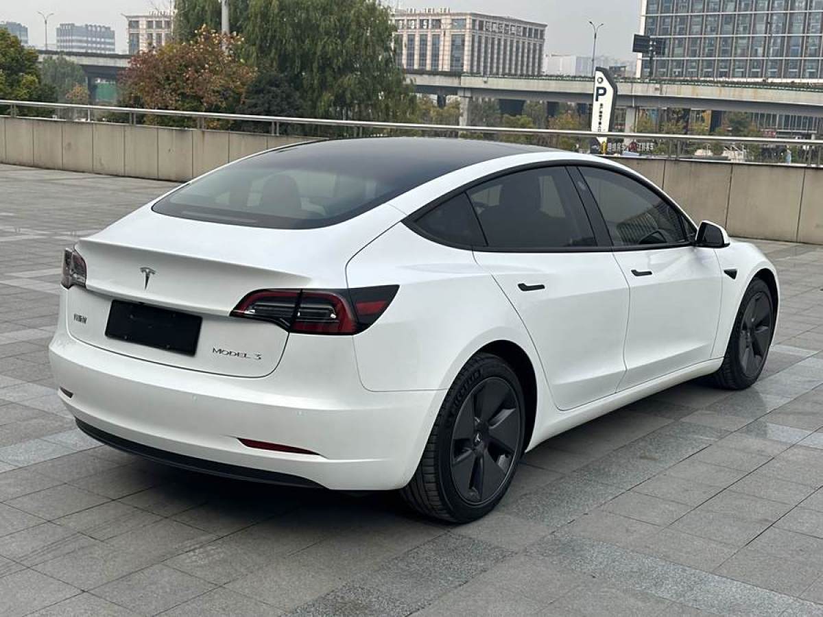 特斯拉 Model 3  2021款 改款 標(biāo)準(zhǔn)續(xù)航后驅(qū)升級(jí)版圖片