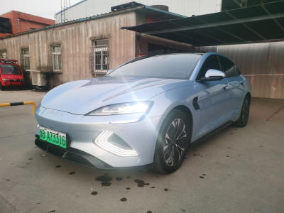 2022年9月 比亞迪 海豹 550km 標準續(xù)航后驅版尊貴型圖片
