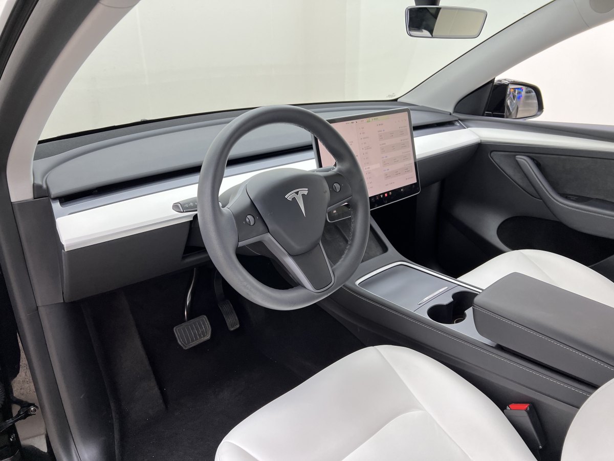 特斯拉 Model Y  2022款 后輪驅(qū)動版圖片