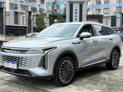 2024年6月 星途 瑤光C-DM 1.5T 長續(xù)航Pro圖片