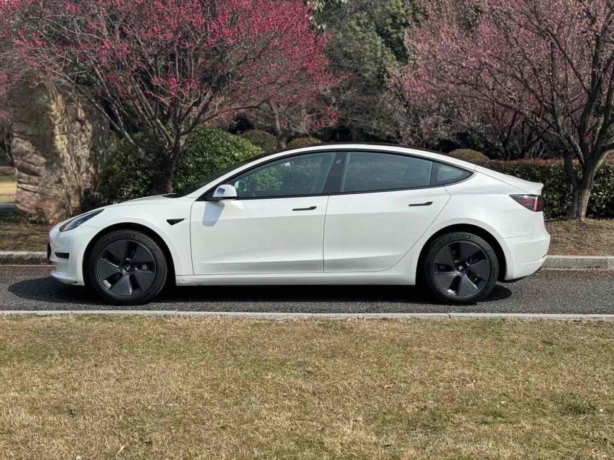 特斯拉 Model 3  2022款 改款 后轮驱动版图片