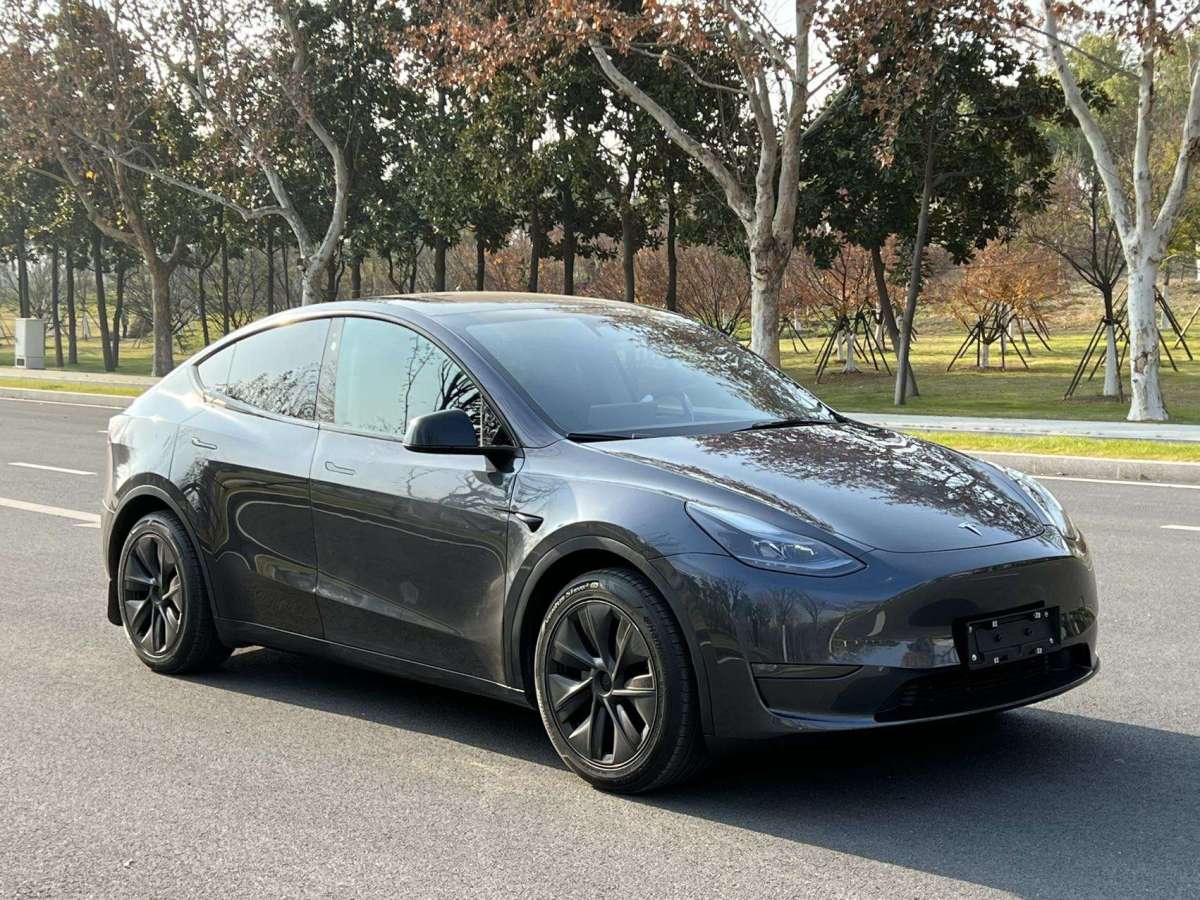 特斯拉 Model Y  2024款 長續(xù)航全輪驅(qū)動版圖片