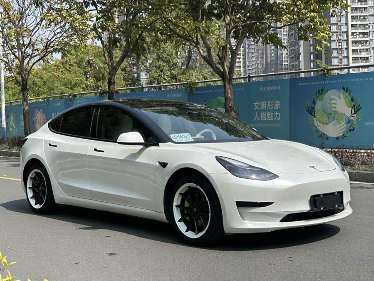 特斯拉 Model 3  2021款 改款 標(biāo)準續(xù)航后驅(qū)升級版圖片