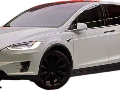 2020年9月 特斯拉 Model X 長(zhǎng)續(xù)航版圖片