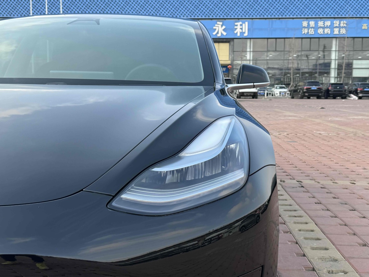 特斯拉 Model 3  2020款 改款 標(biāo)準(zhǔn)續(xù)航后驅(qū)升級(jí)版圖片