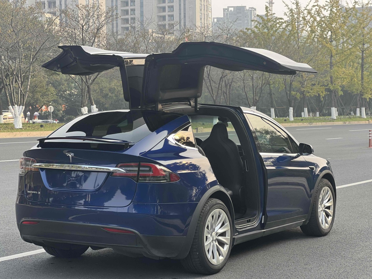 特斯拉 Model X  2016款 Model X 75D圖片