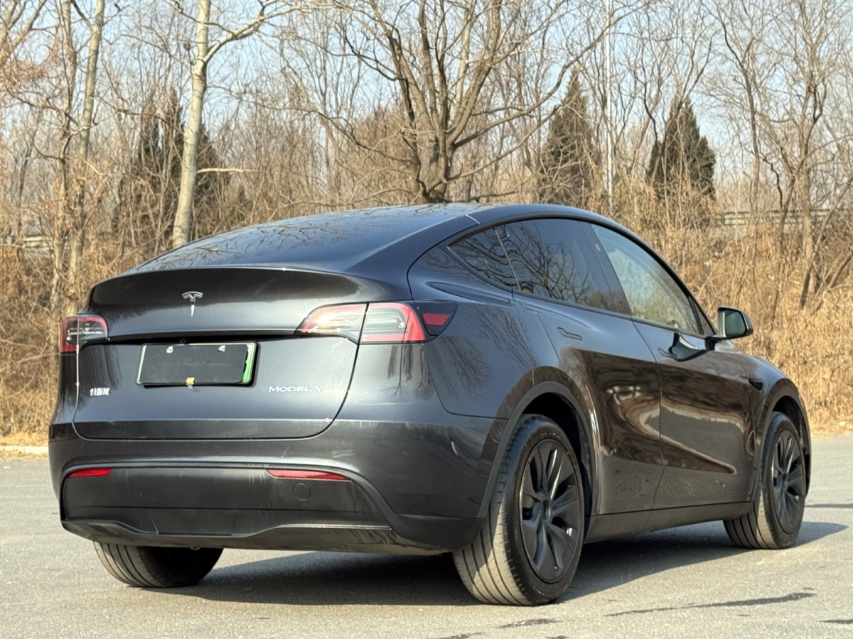 特斯拉 Model Y  2024款 后輪驅(qū)動版圖片