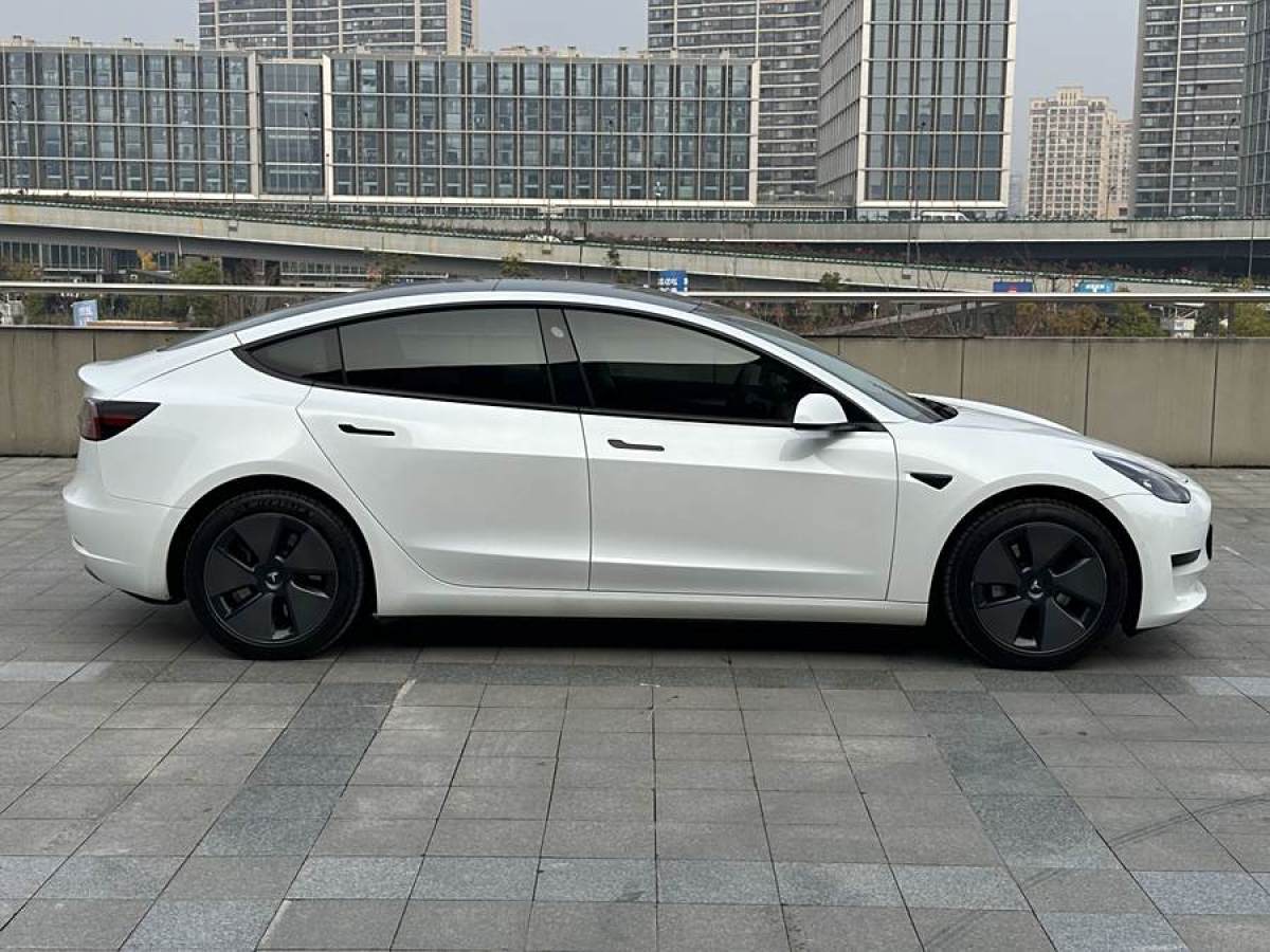 特斯拉 Model 3  2021款 改款 標(biāo)準(zhǔn)續(xù)航后驅(qū)升級(jí)版圖片