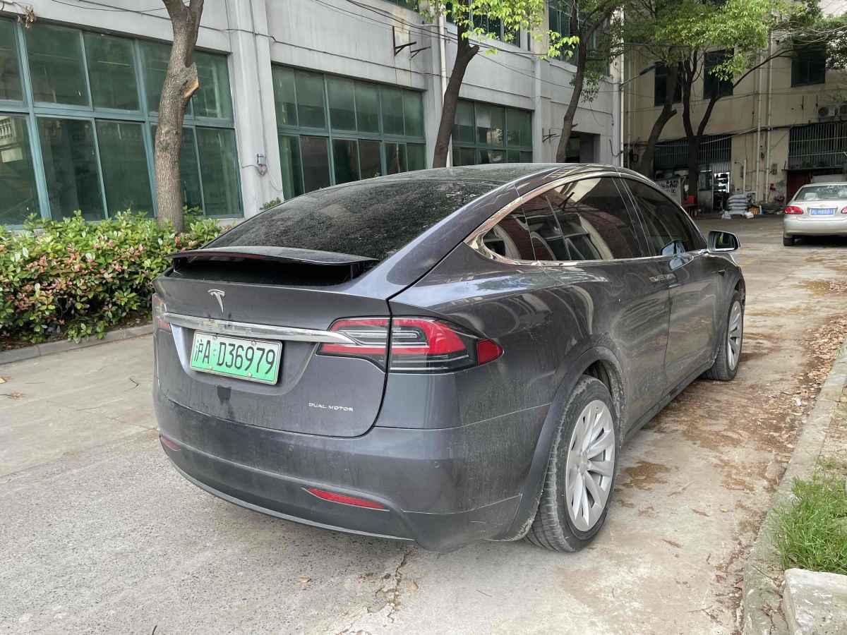 特斯拉 Model X  2019款 长续航版图片