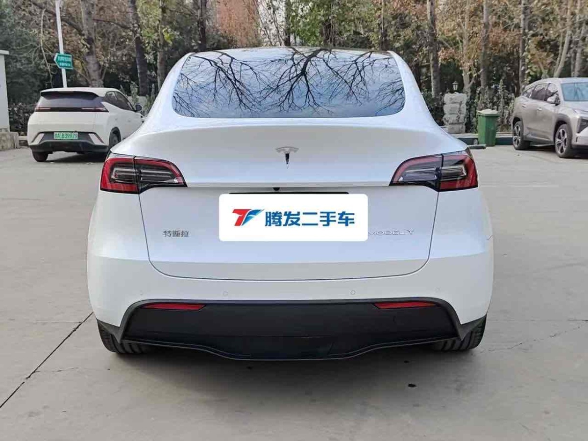 特斯拉 Model 3  2022款 后輪驅(qū)動版圖片