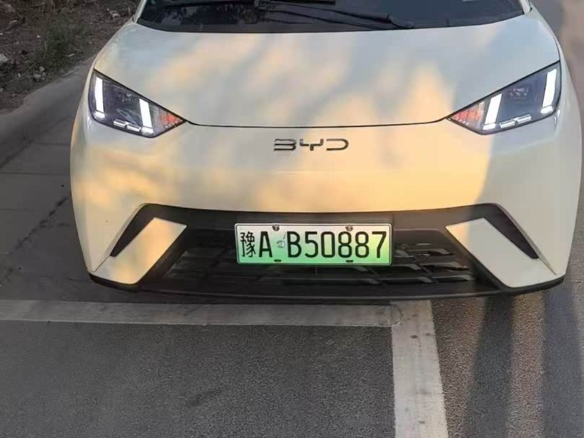 比亞迪 海鷗  2024款 榮耀版 405km 飛翔版圖片