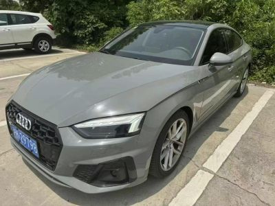 2021年1月 奧迪 奧迪SQ5(進(jìn)口) 3.0 TFSI quattro圖片