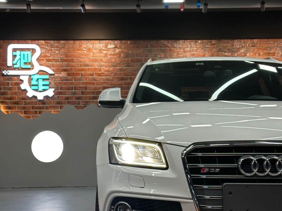 奧迪 奧迪SQ5  2014款 SQ5 3.0 TFSI quattro圖片
