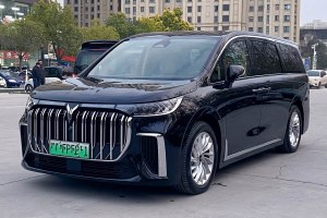 夢(mèng)想家 嵐圖 PHEV 超長(zhǎng)續(xù)航尊貴版