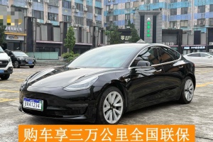 Model 3 特斯拉 長(zhǎng)續(xù)航后驅(qū)版