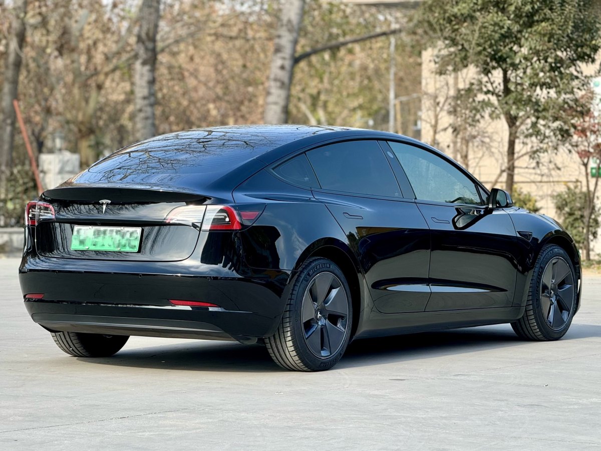 特斯拉 Model 3  2019款 標(biāo)準(zhǔn)續(xù)航后驅(qū)升級版圖片