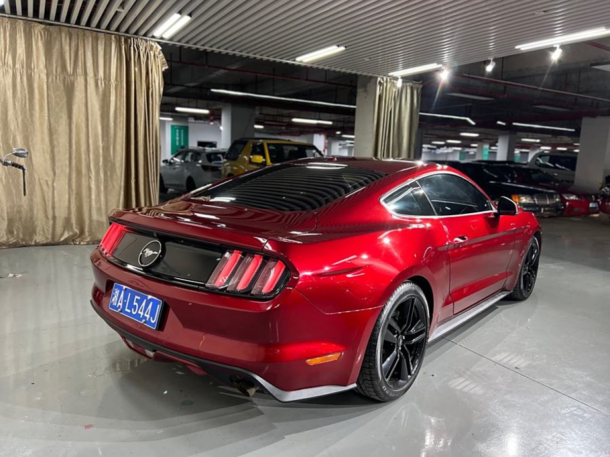 福特 Mustang  2015款 2.3T 性能版圖片