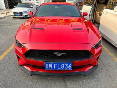 2019年2月 福特 Mustang(進口) 2.3L EcoBoost圖片