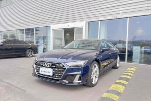 奥迪A7L 奥迪 45TFSI quattro S-line 见远型 流晶套装