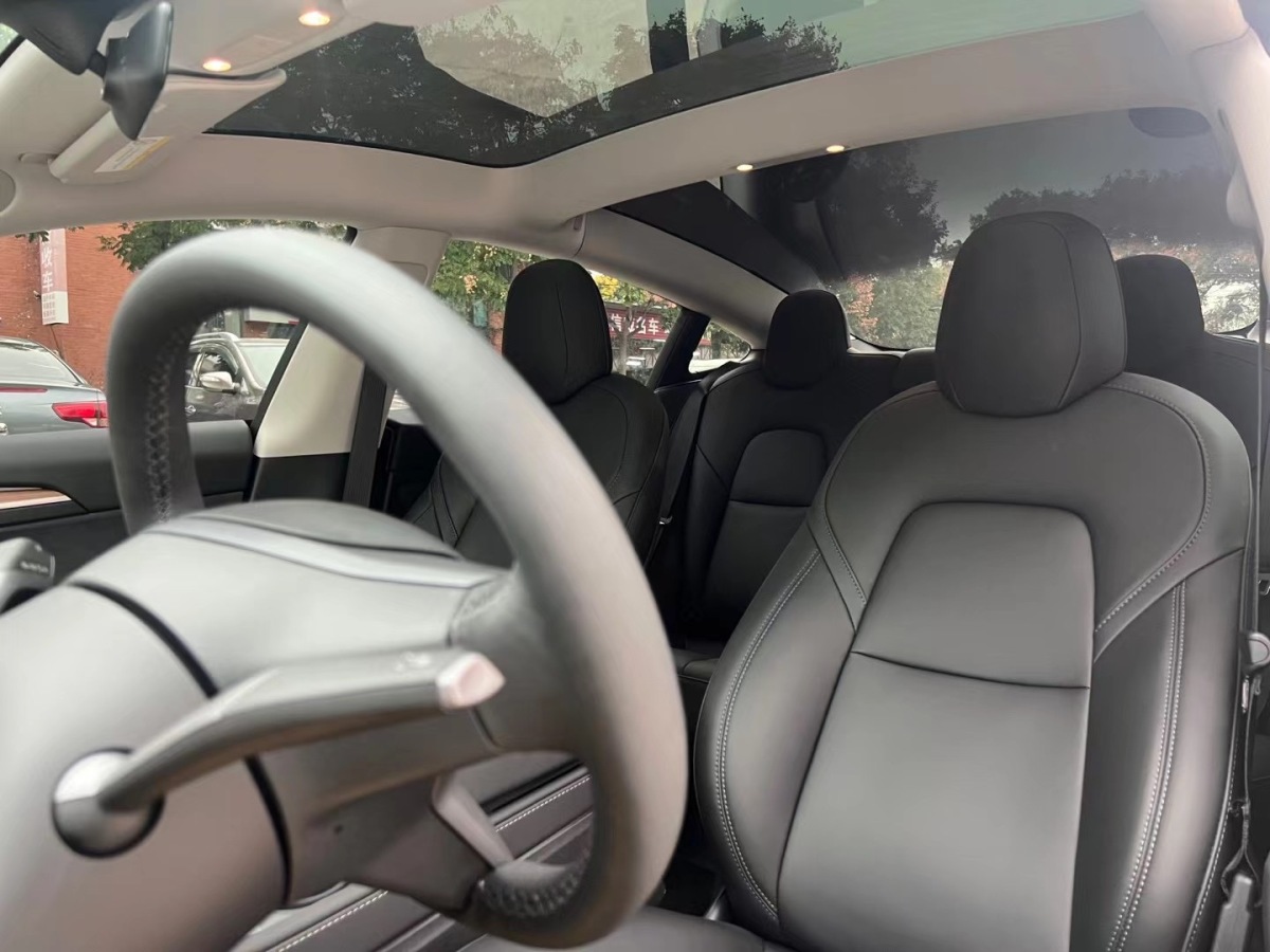 特斯拉 Model 3  2022款 后輪驅(qū)動版圖片