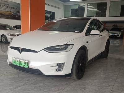 2019年4月 特斯拉 Model X Model X 100D 長續(xù)航版圖片