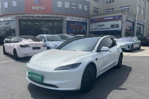 Model 3 特斯拉 長續(xù)航全輪驅(qū)動版