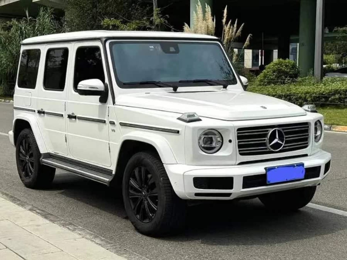 奔馳 奔馳G級(jí)  2019款 改款 G 500圖片