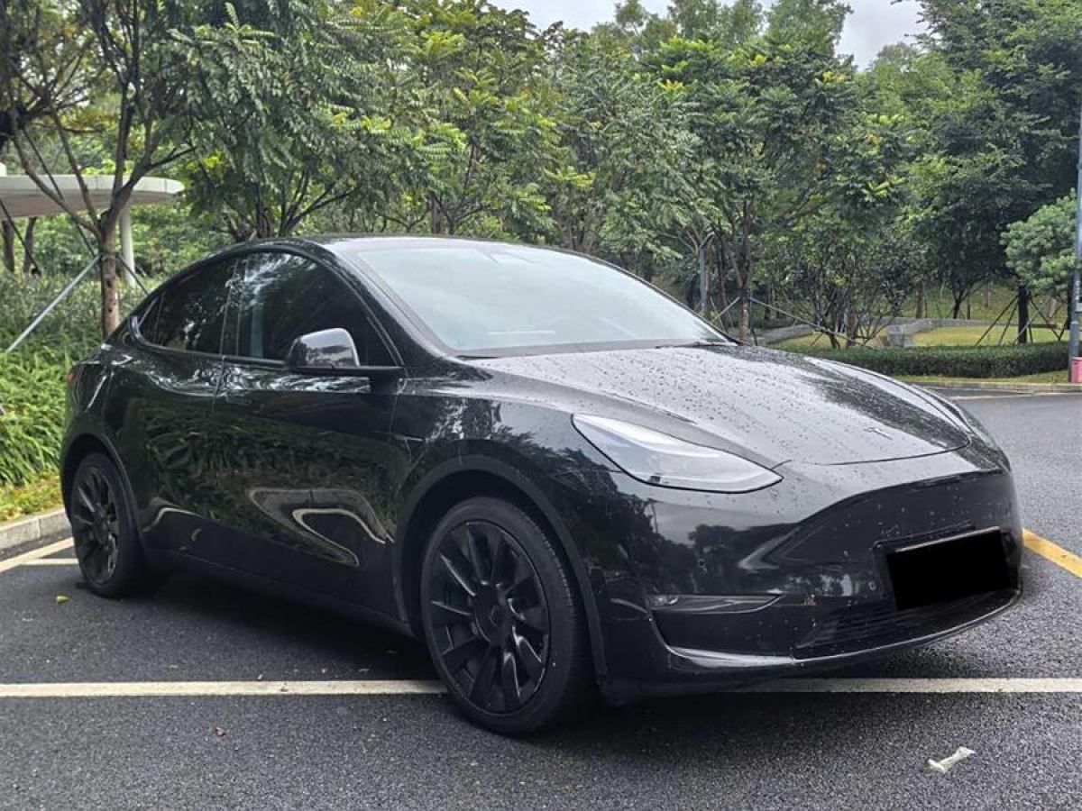 特斯拉 Model Y  2021款 改款 長續(xù)航全輪驅(qū)動版圖片